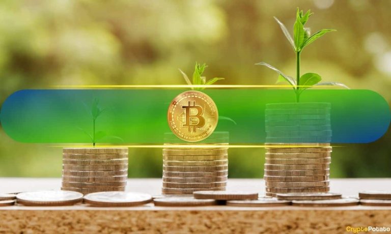 Bitcoin Accumulation Patterns Show Late-Stage Cycle Maturity, Not Definite End: CryptoQuant Bitcoin Accumulation Patterns Show Late-Stage Cycle Maturity, Not Definite End: CryptoQuant