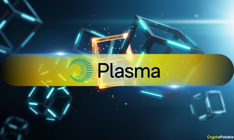 XPL Drops 14% After Pump: What's Next for Plasma?
