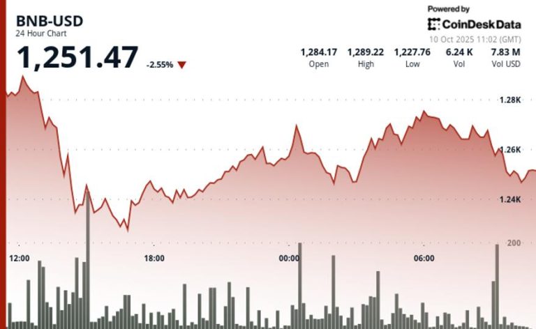 ‘L1 Wealth Effect’ Drives BNB Ecosystem Despite Pullback From $1.3K High