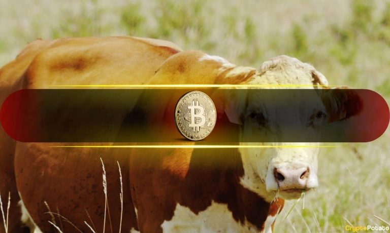 Bullish Sentiment Returns as BTC Nears $70K But Is it a Bull Trap? 
